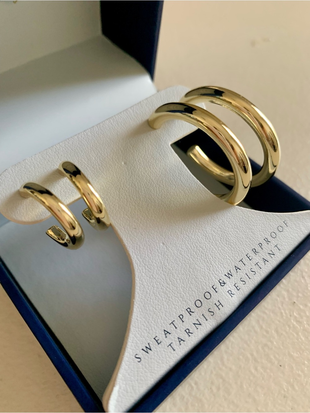 Aquamir Shiny Gold-Tone Double Hoop Earring Set